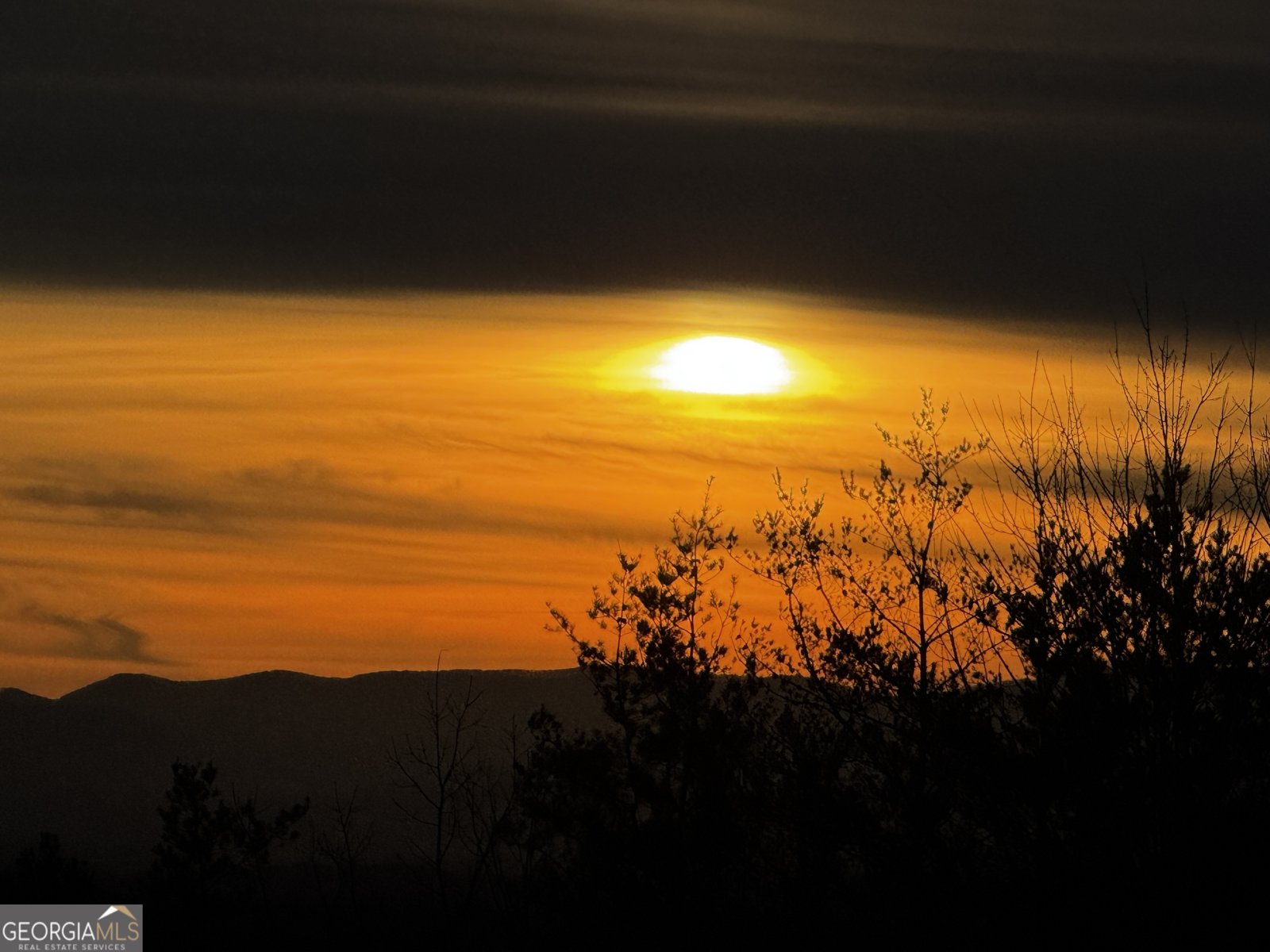 291 Pine Pass Circle Mineral Bluff - Photo 81