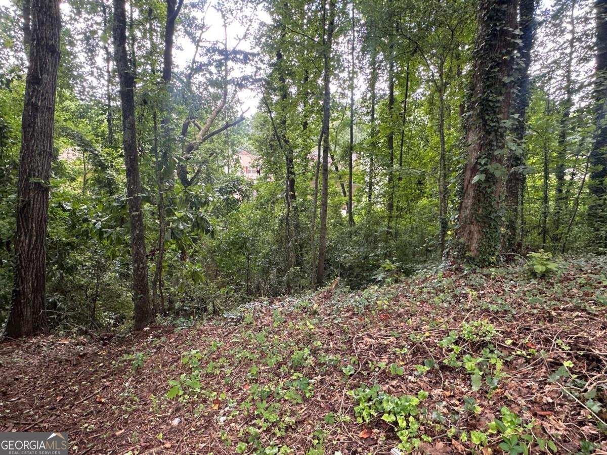 4911 Martins Crossing Road Stone Mountain - 15