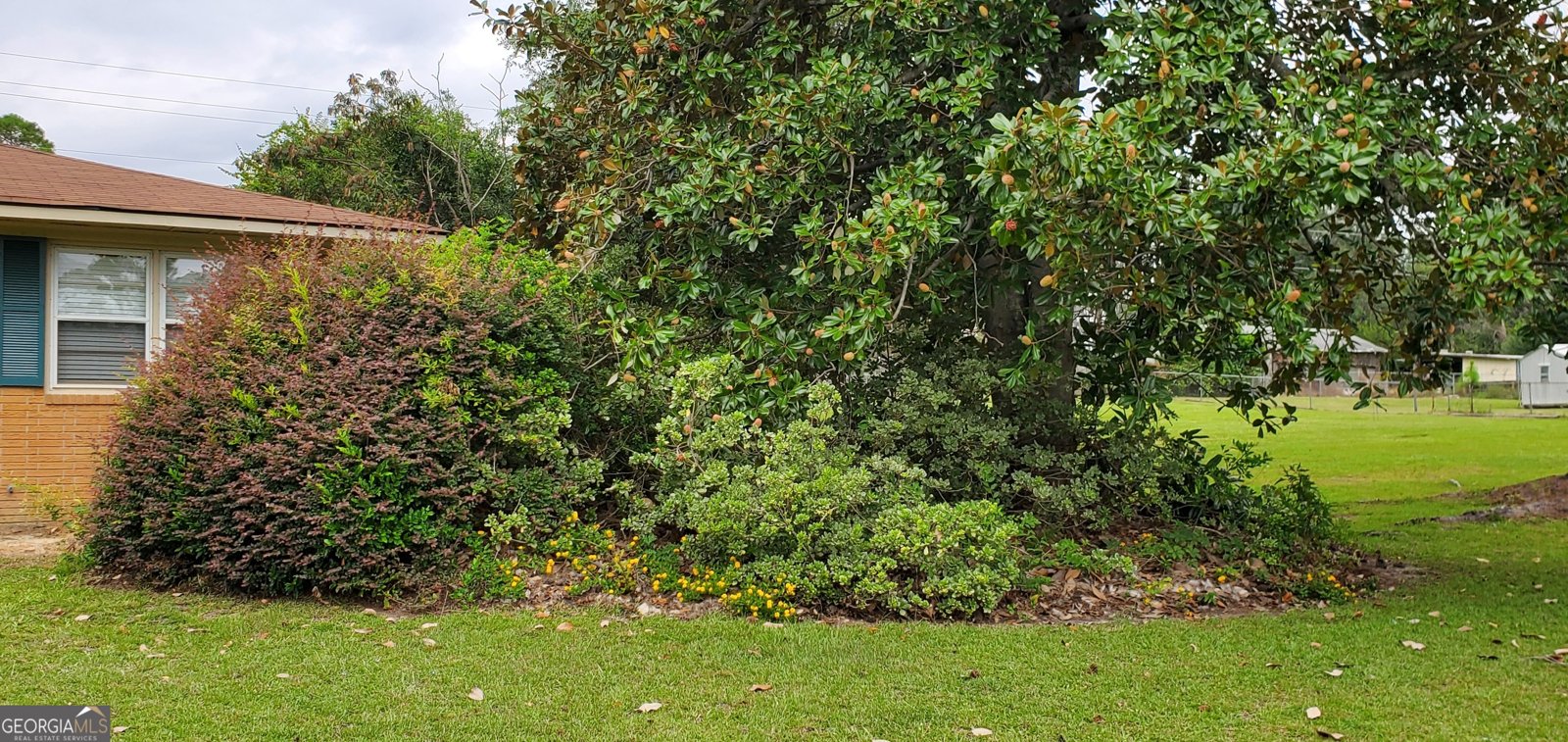 240 Lakewood Drive Swainsboro - 4