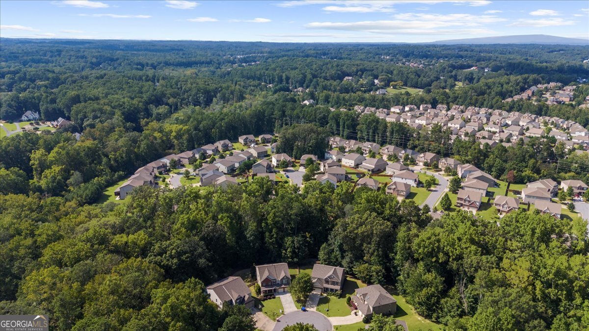 5985 Willow Oak Pass Cumming - 73