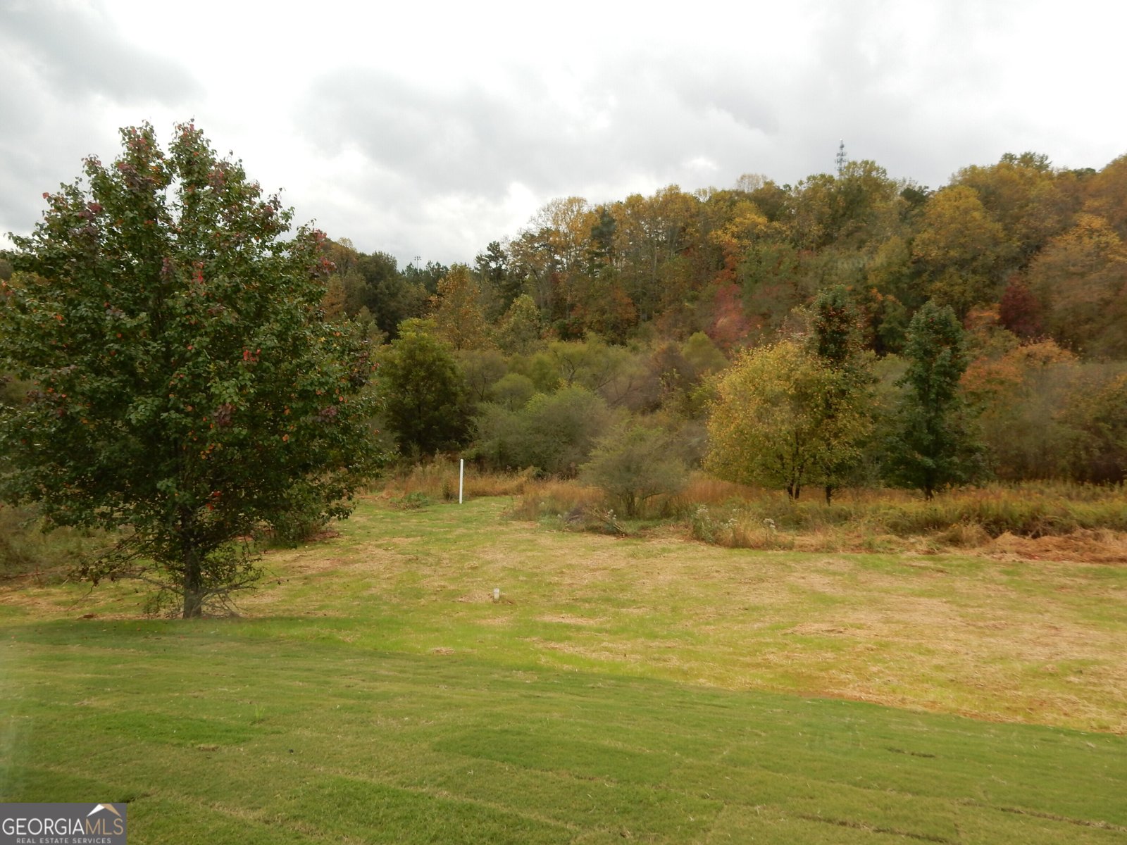 408 Sweetgrass Drive Demorest - 22