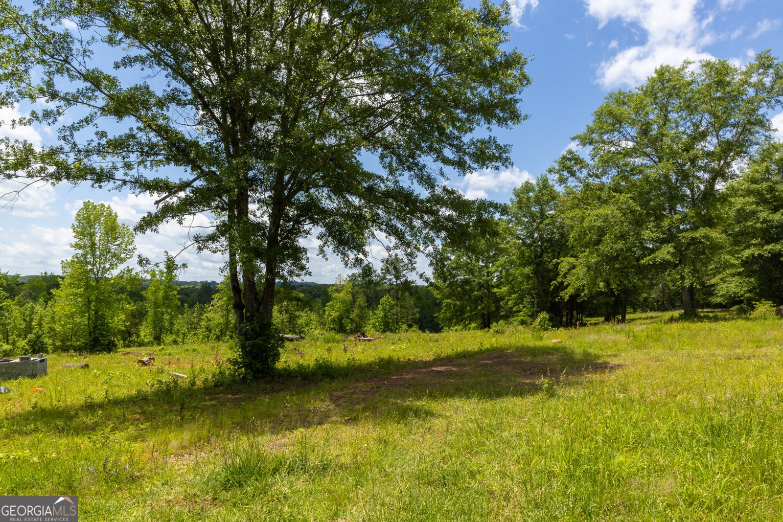 655 White Road Thomaston - 13