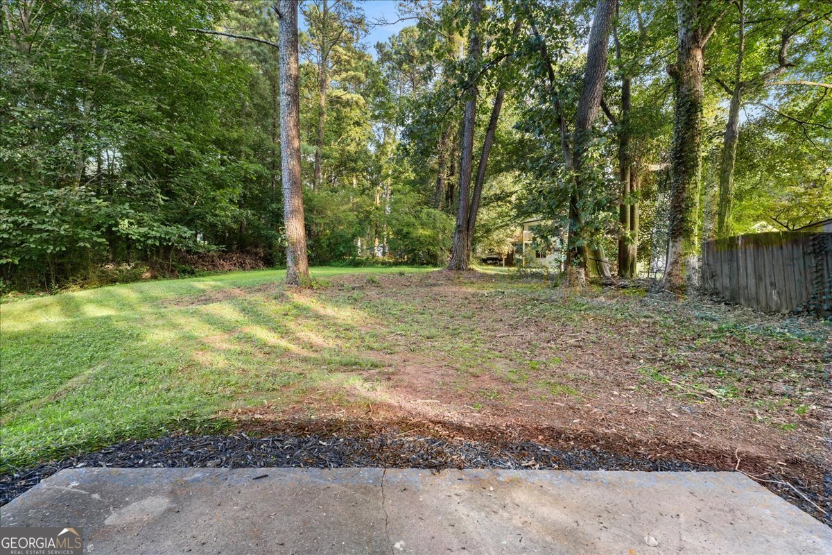 3809 Chimney Ridge Court Ellenwood - 46