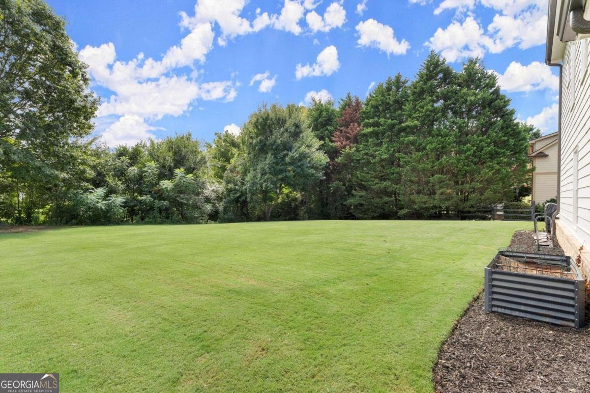 487 Carmichael Circle Canton - 3