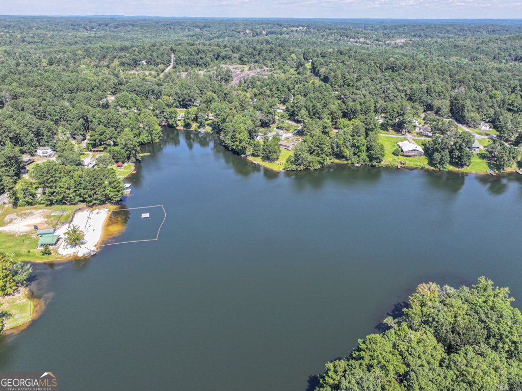 2491 Lakeshore Drive Conyers - 35