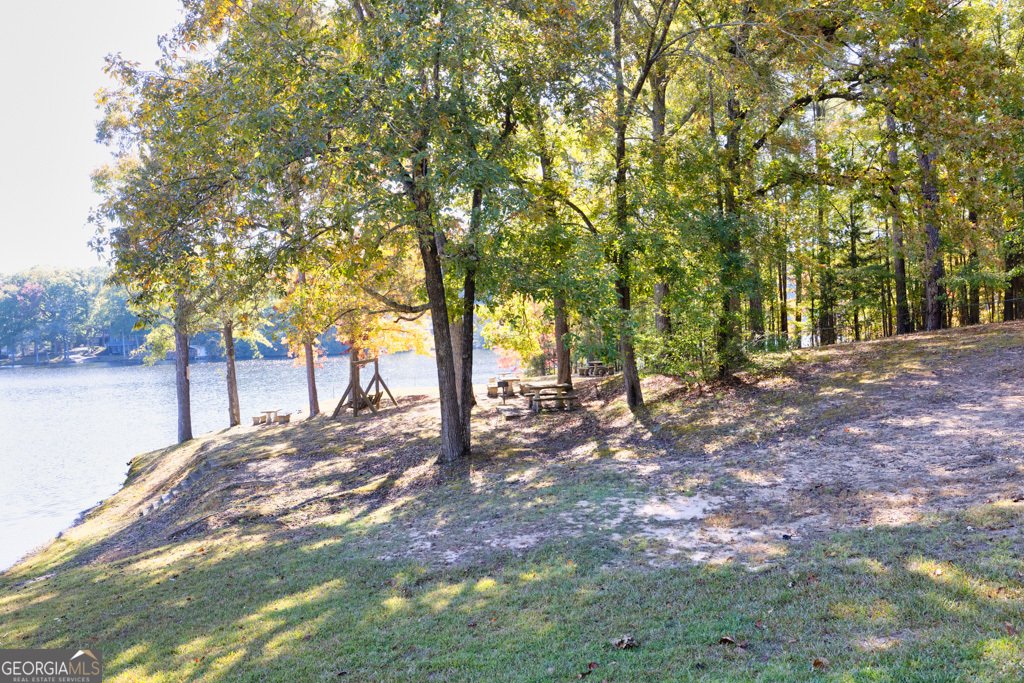 2491 Lakeshore Drive Conyers - 63