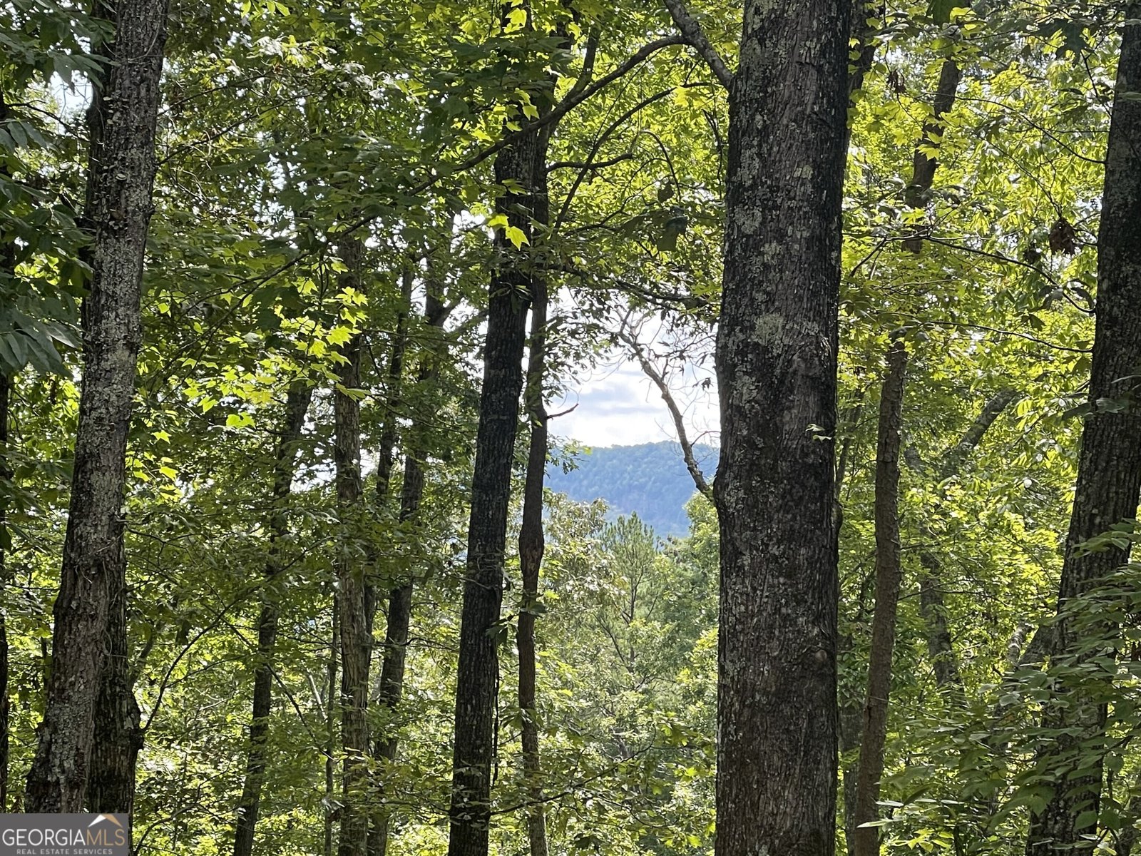 825 Sautee Woods Trail Sautee Nacoochee - 34