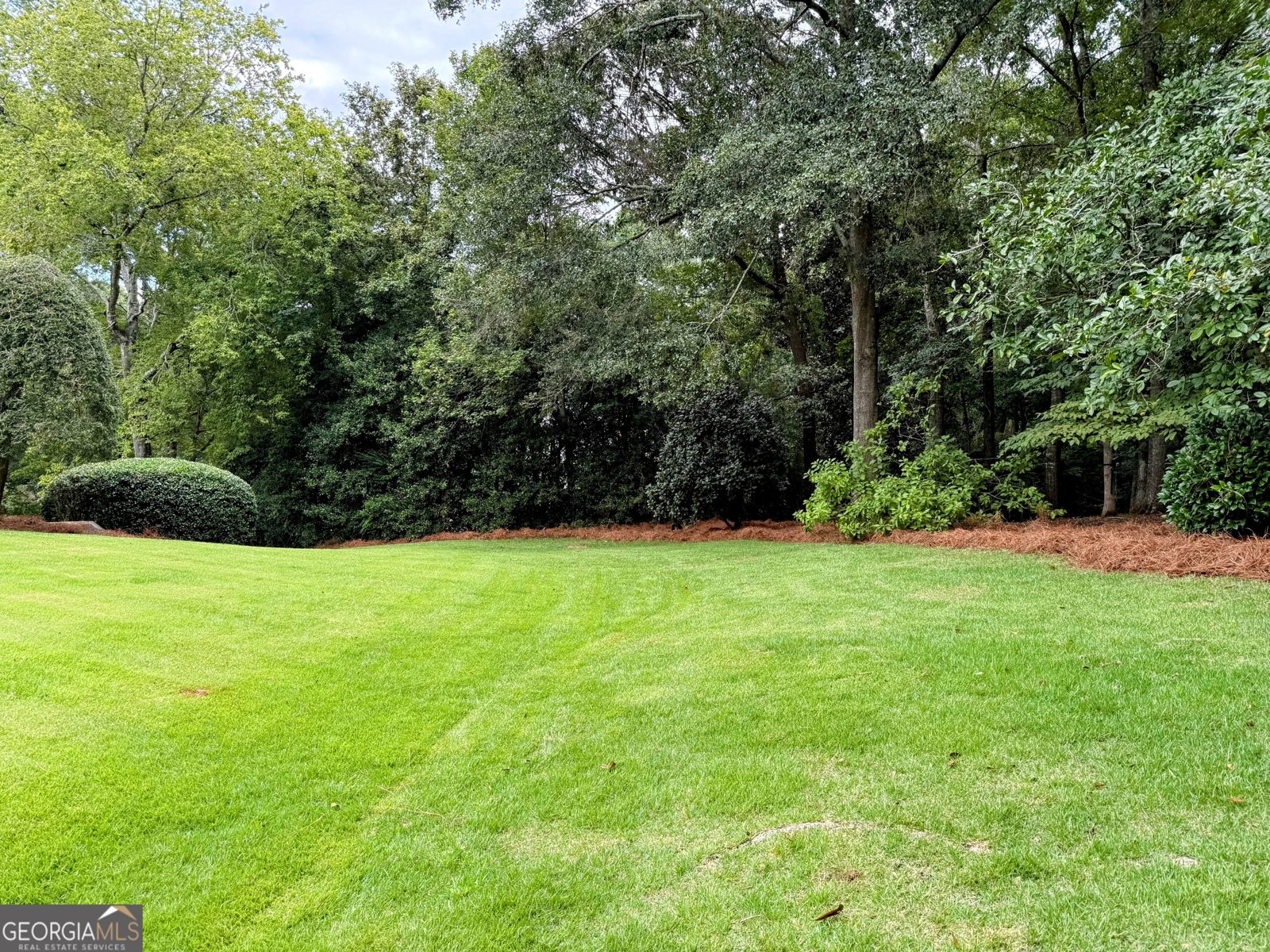 118 Moss Creek Drive Lagrange - 31