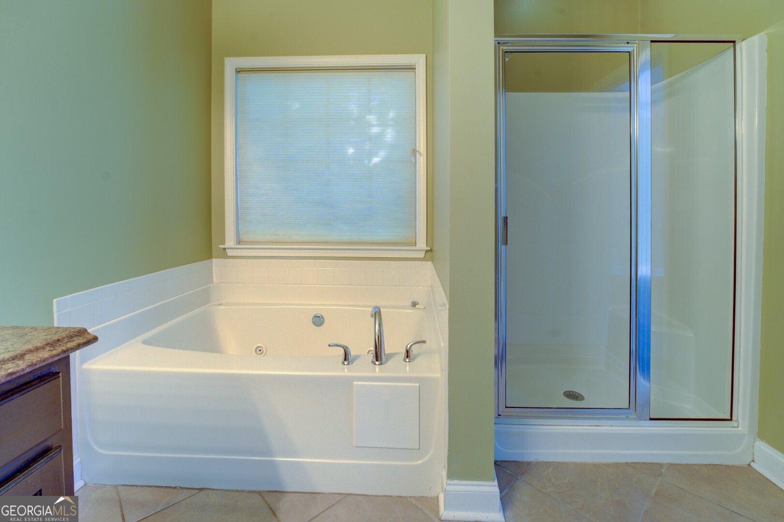 250 Scenic Drive McDonough - 39