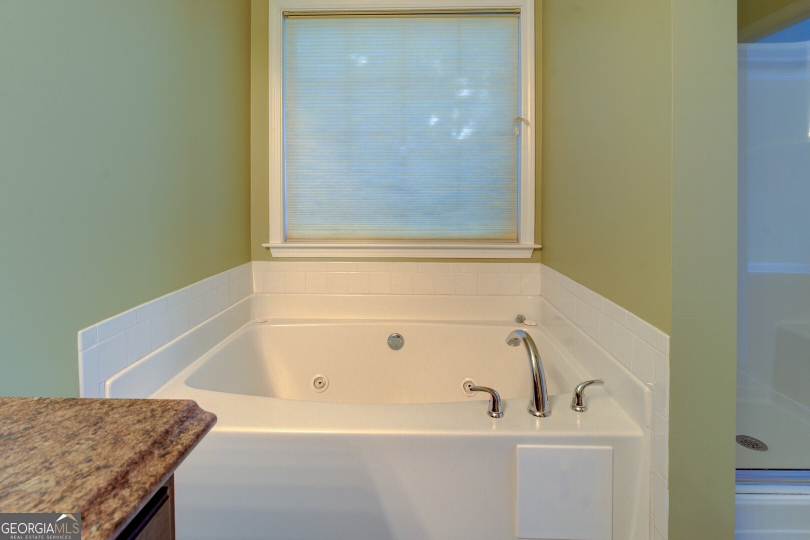 250 Scenic Drive McDonough - 40