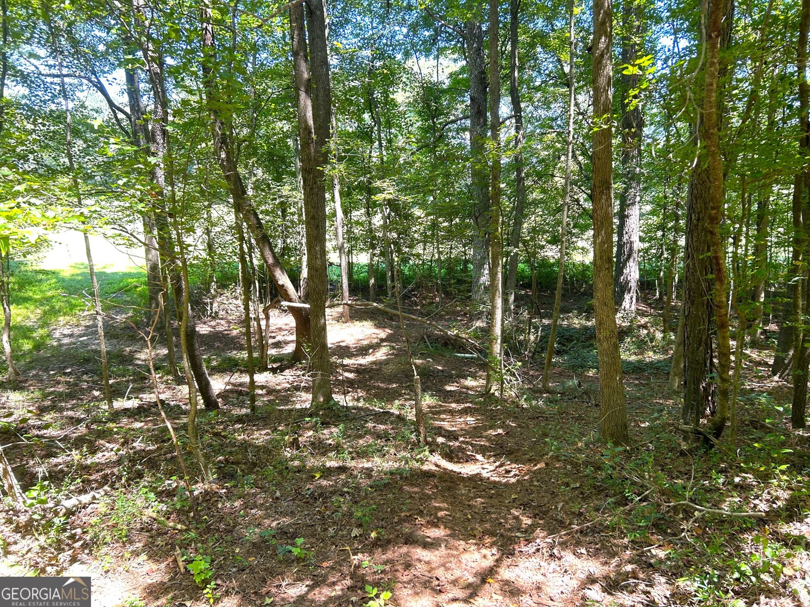 446 Mcgukin Road Bremen - 11