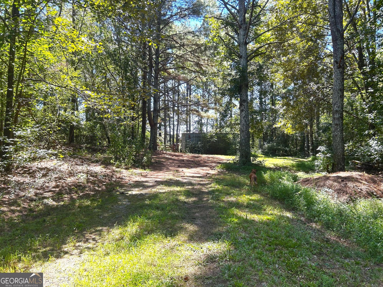 446 Mcgukin Road Bremen - 13