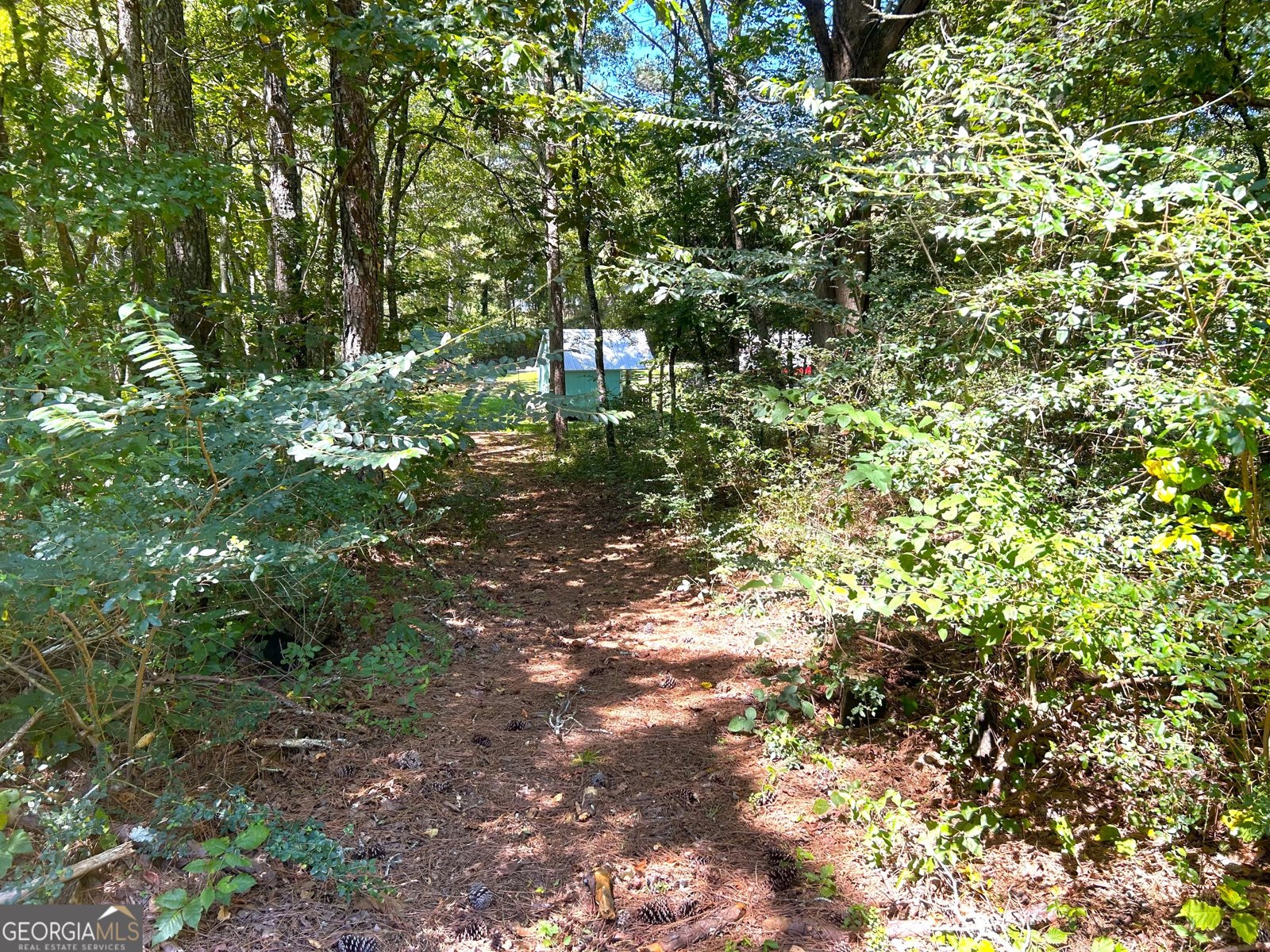 446 Mcgukin Road Bremen - 14