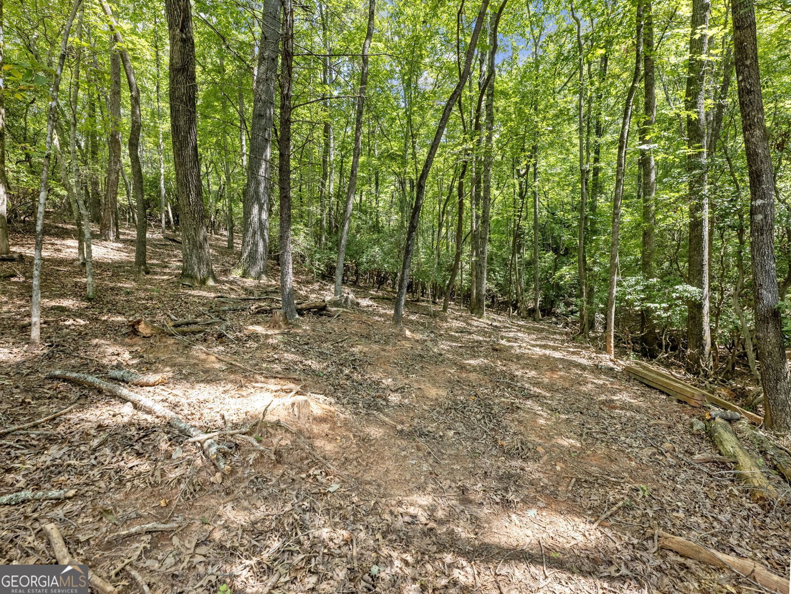 105 Laurelwood Sautee Nacoochee - 50