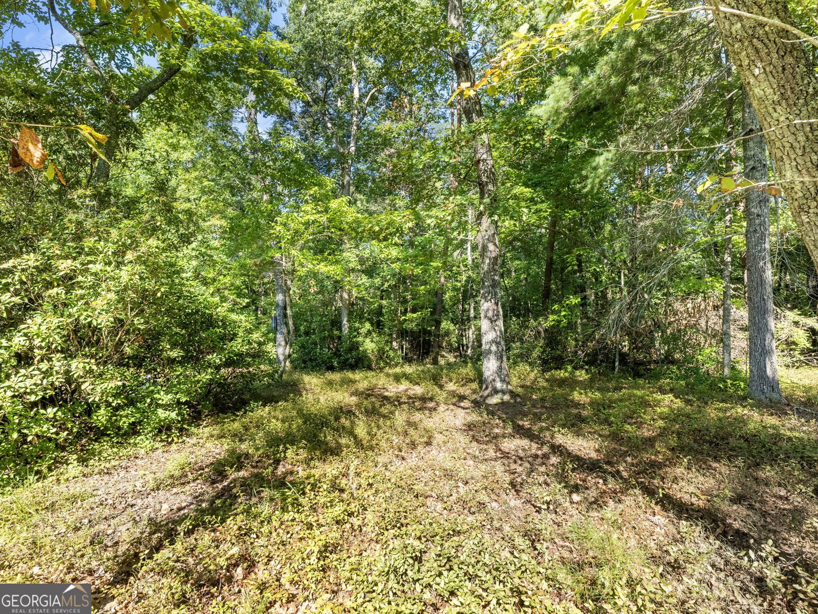 529 Eden Circle Cleveland - 34