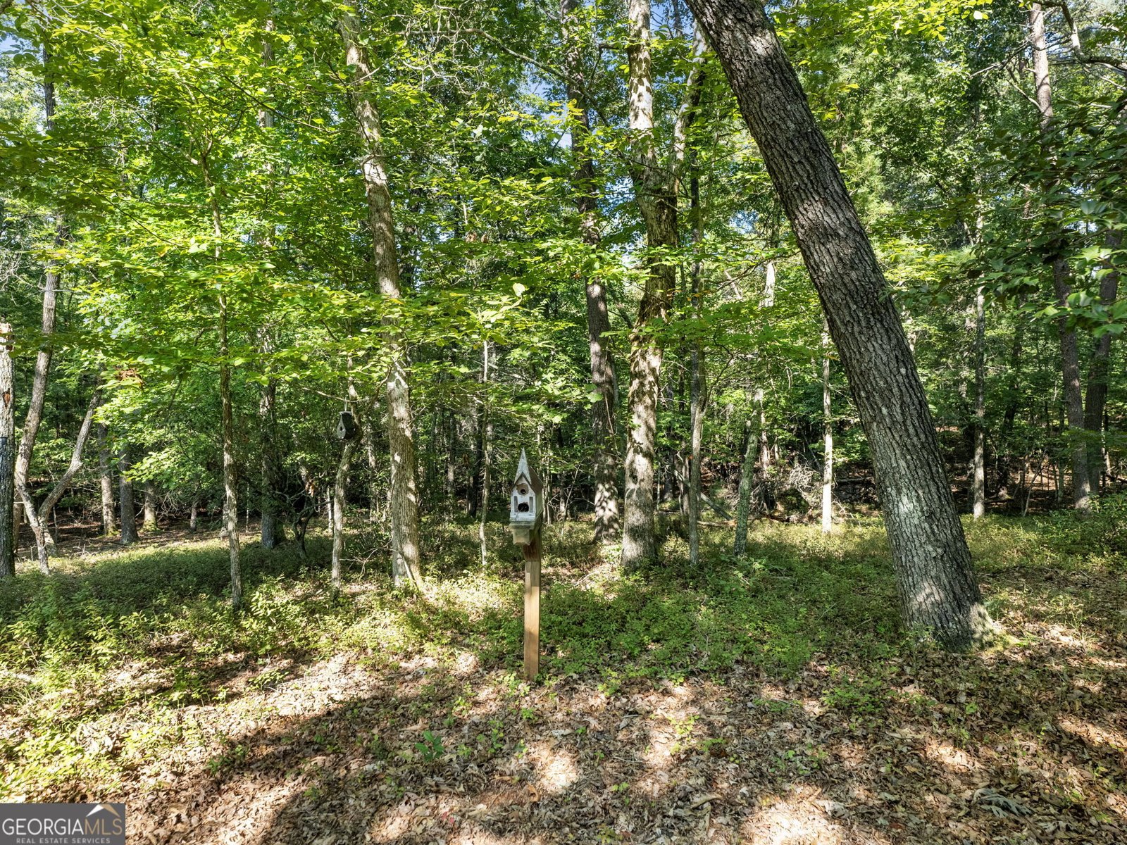529 Eden Circle Cleveland - 45