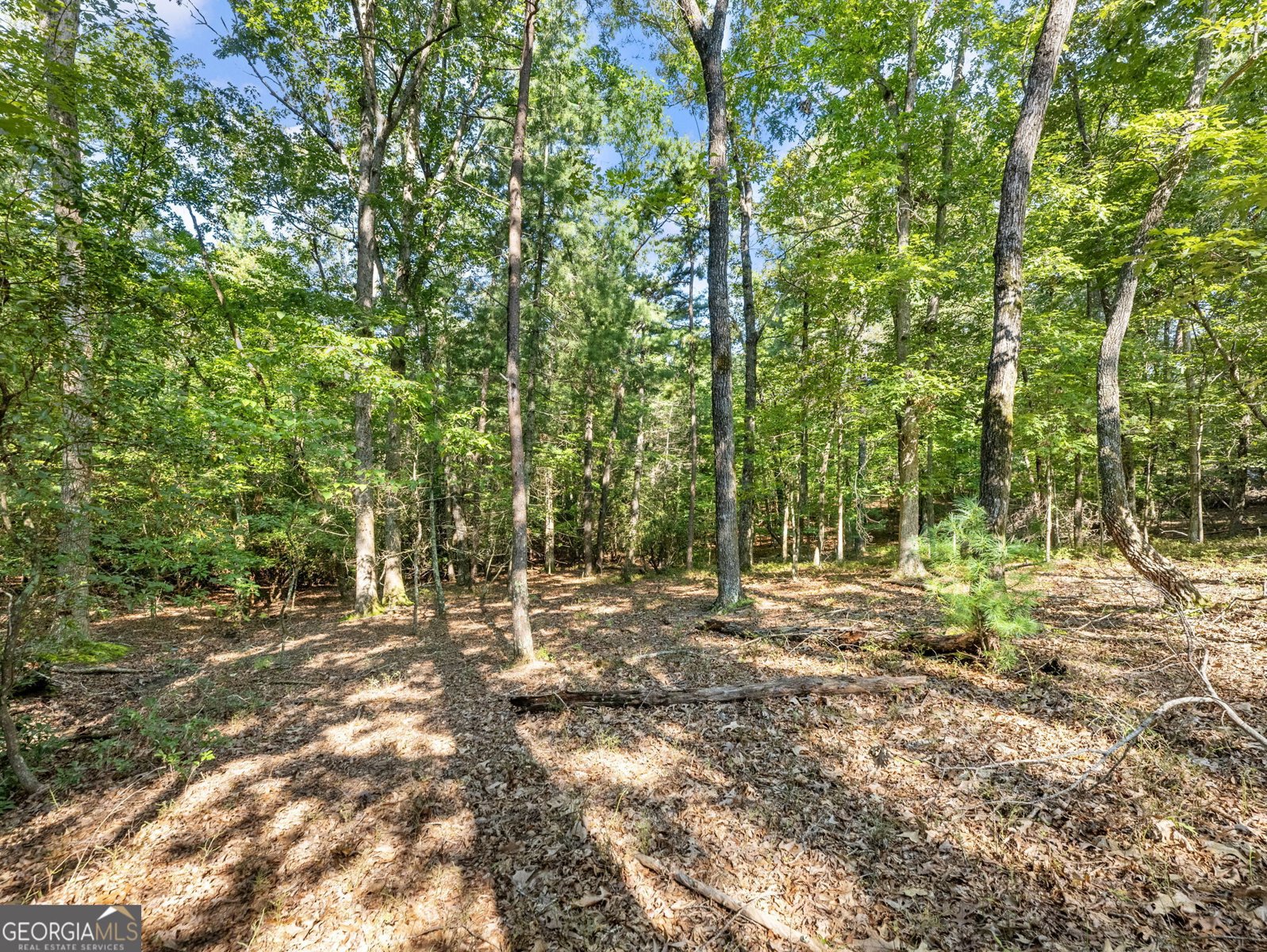 529 Eden Circle Cleveland - 46
