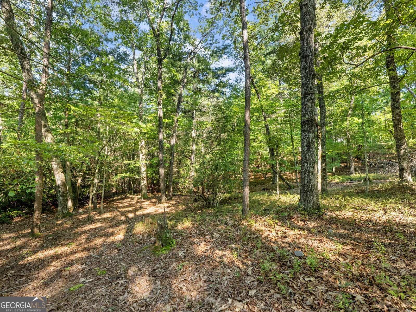 529 Eden Circle Cleveland - 47