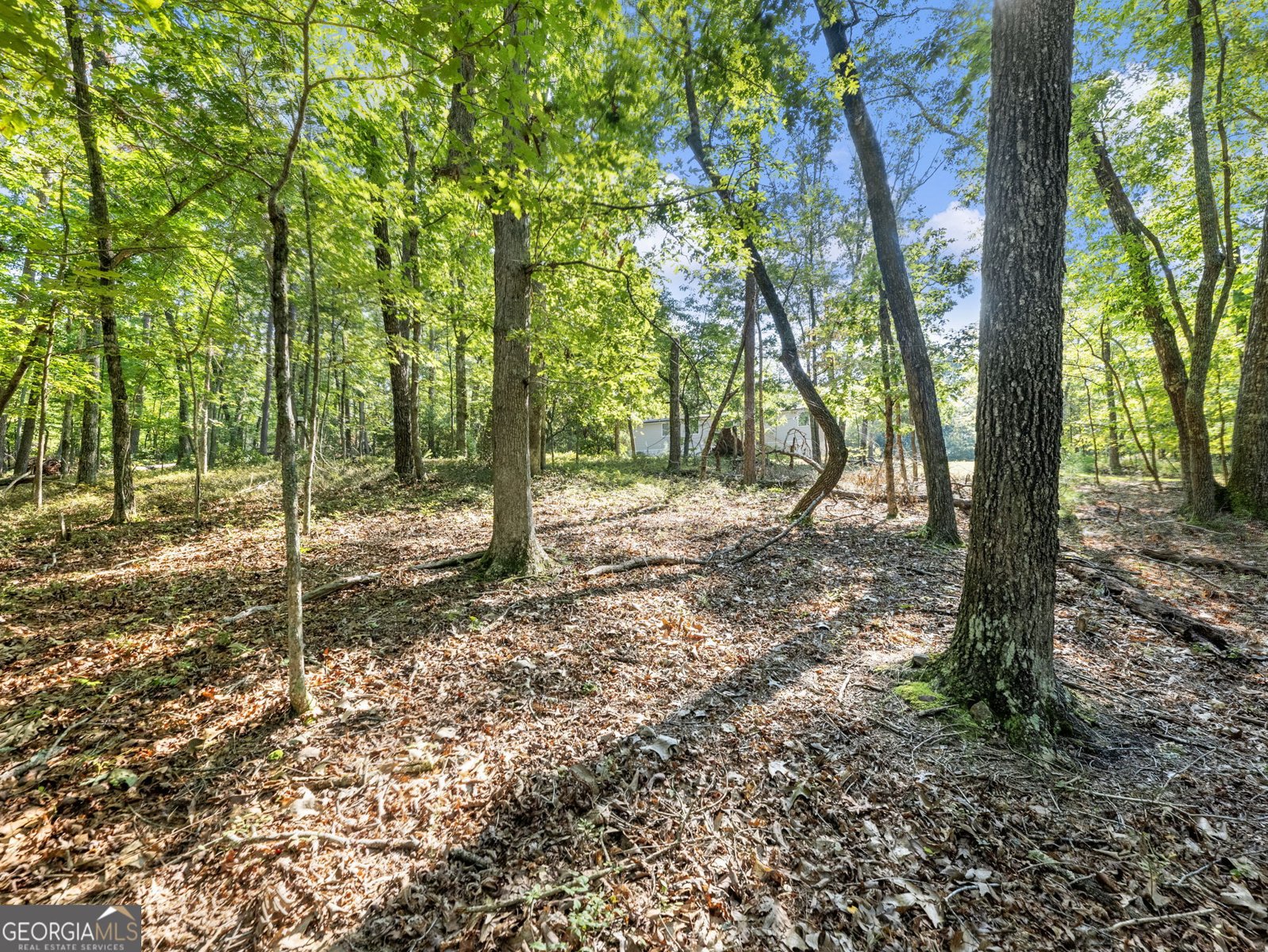 529 Eden Circle Cleveland - 48