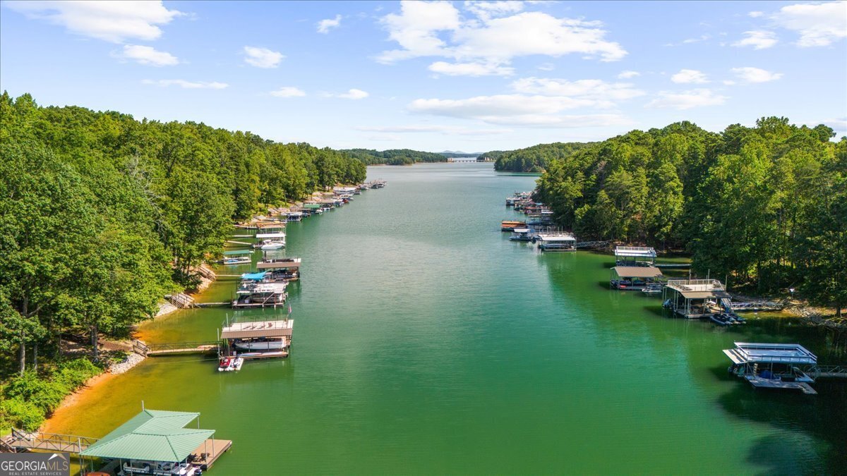 6255 Lakeview Drive Buford - 22
