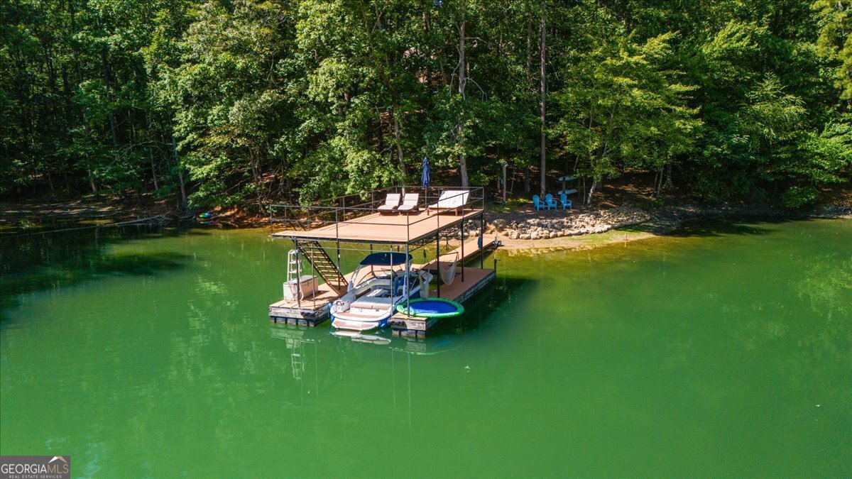 6255 Lakeview Drive Buford - 23
