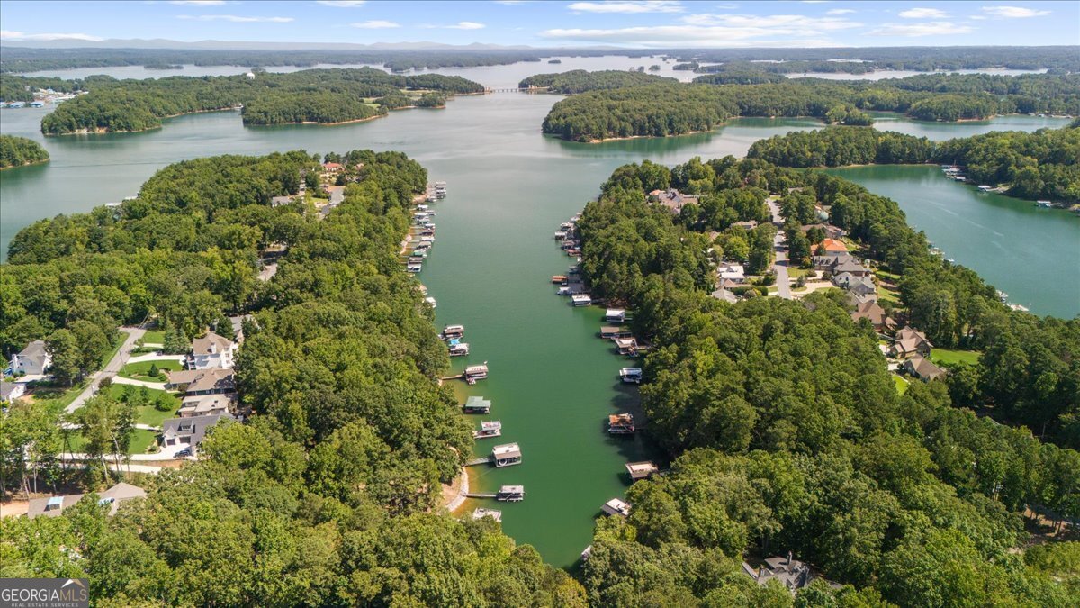 6255 Lakeview Drive Buford - 57