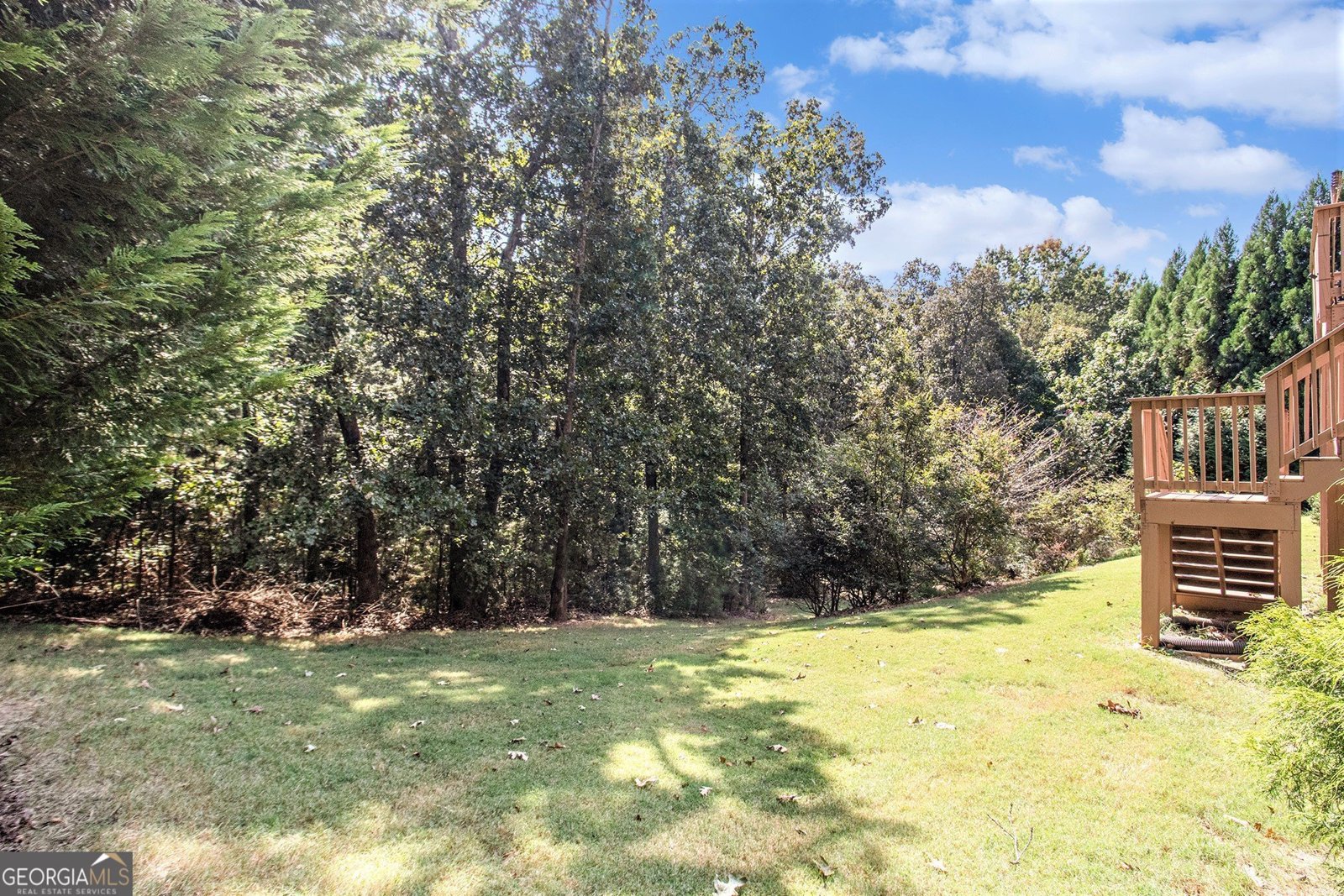 5845 Pecan Grove Place Douglasville - 50