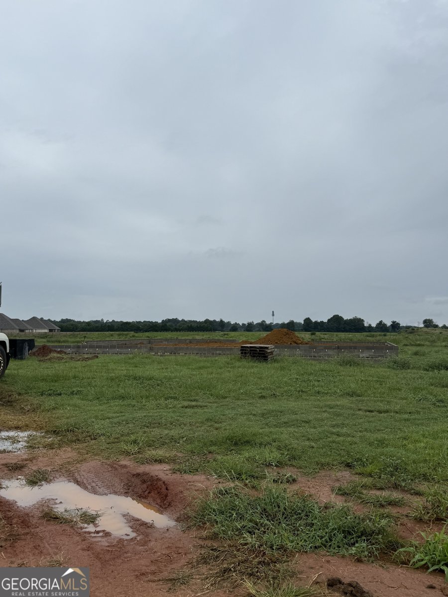 105 Pridgen Pass Perry - 2