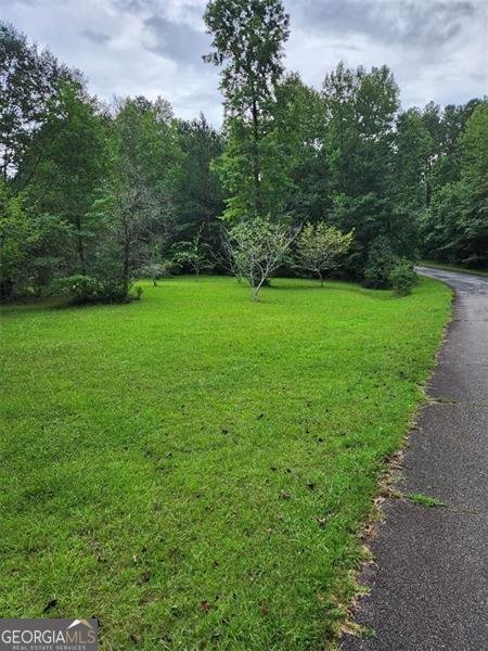 122 BLACKSTOCK Road Villa Rica - 1