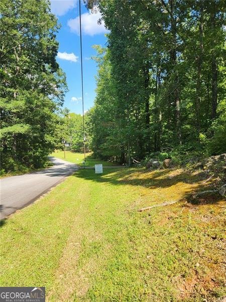 122 BLACKSTOCK Road Villa Rica - 44
