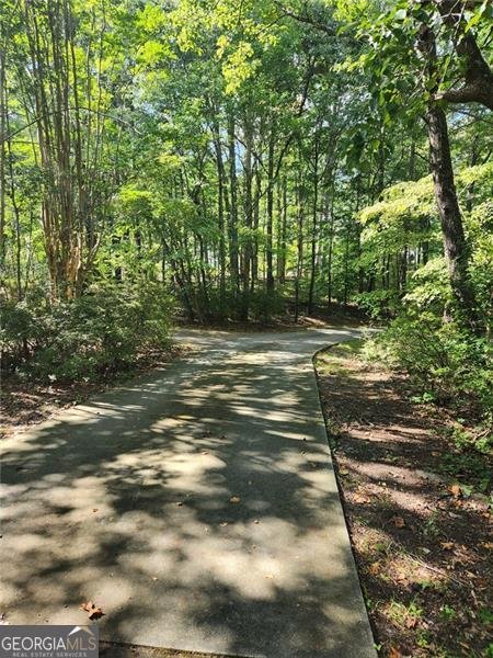122 BLACKSTOCK Road Villa Rica - 45
