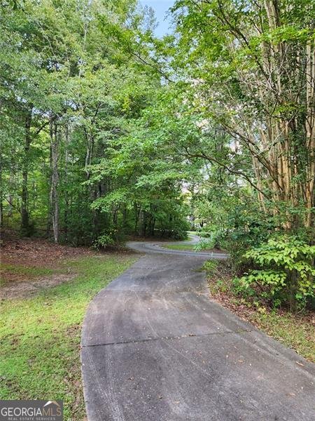 122 BLACKSTOCK Road Villa Rica - 46