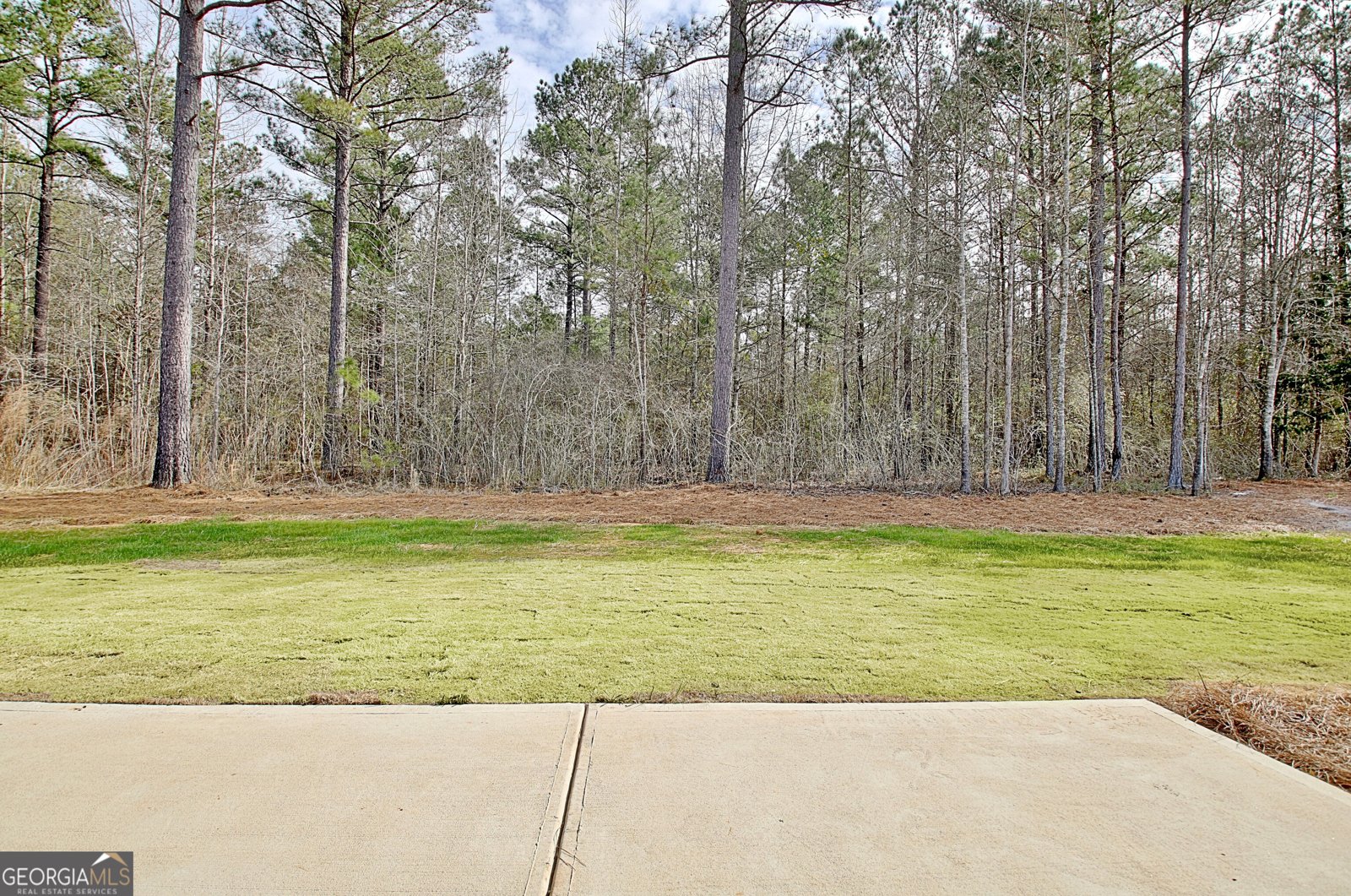 169 Mill Race Zebulon - 39