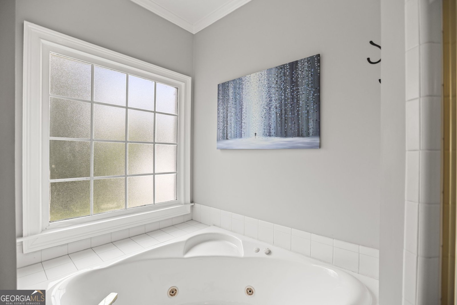 111 Royal Burgess Way McDonough - 48