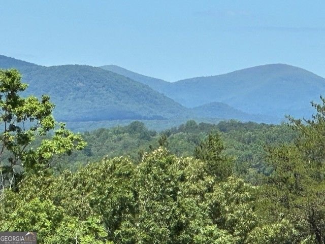 1024 Bear Paw Ridge Dahlonega - 6