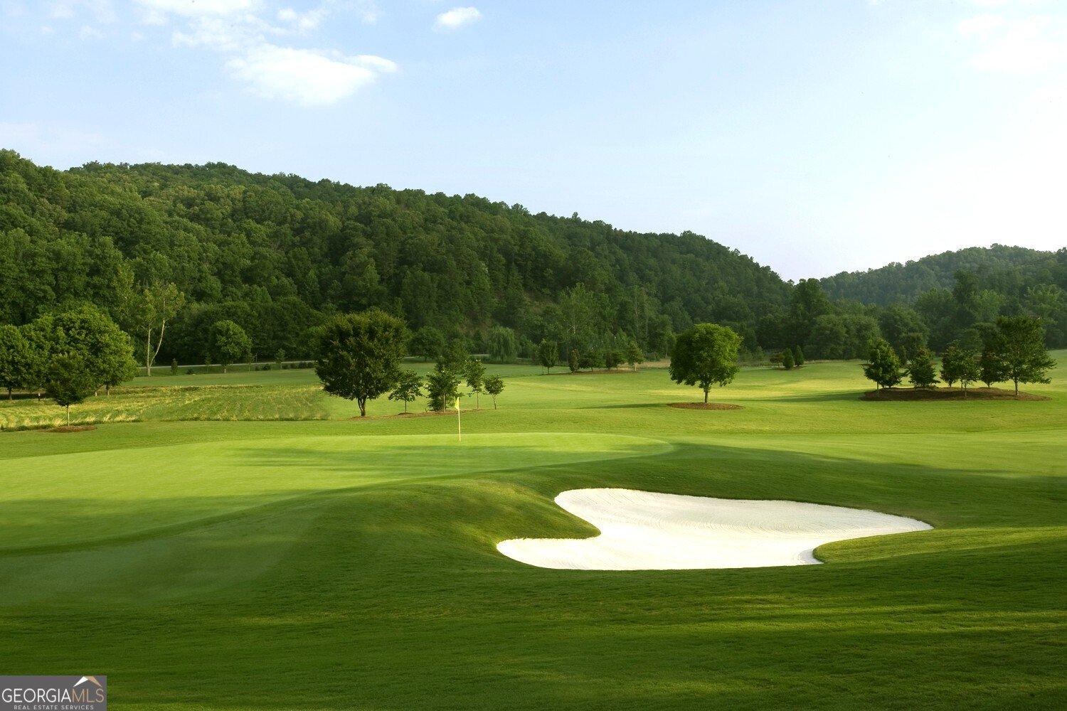 1024 Bear Paw Ridge Dahlonega - 9