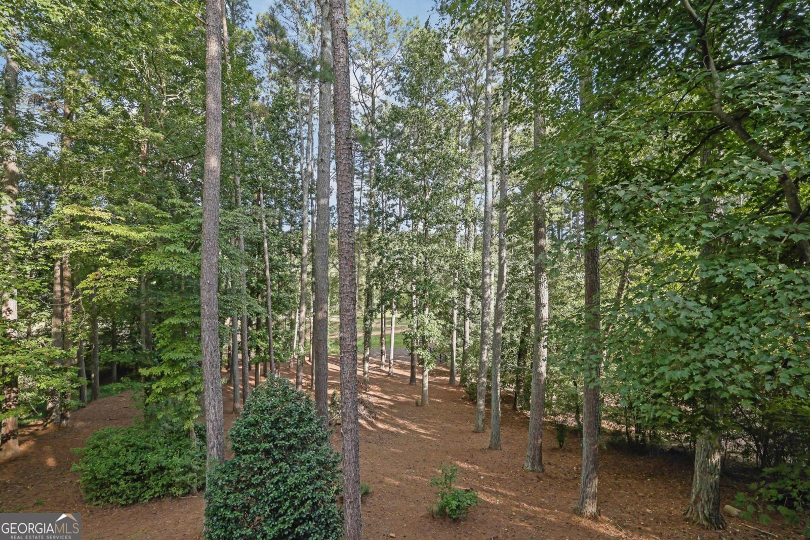 1770 Highgrove Club Drive Alpharetta - 46