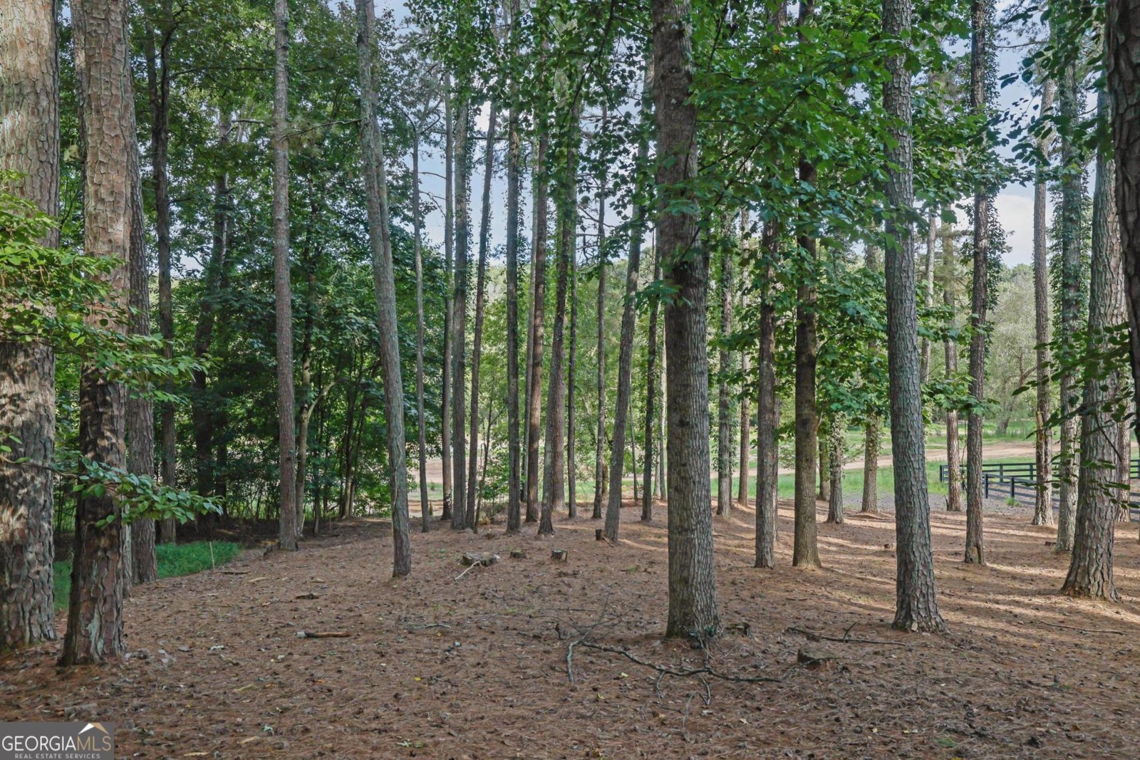 1770 Highgrove Club Drive Alpharetta - 47