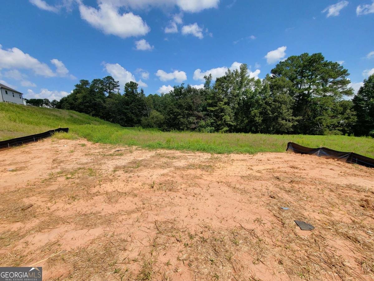 377 Silverleaf Trail Bethlehem - 24