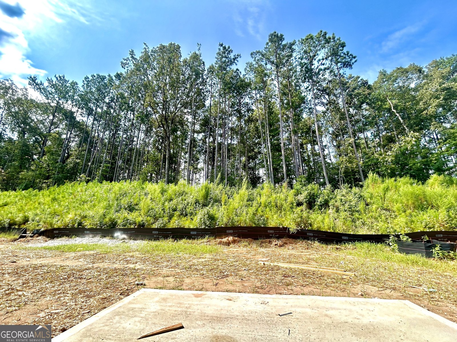 5361 Heron Bay Boulevard Locust Grove - 6