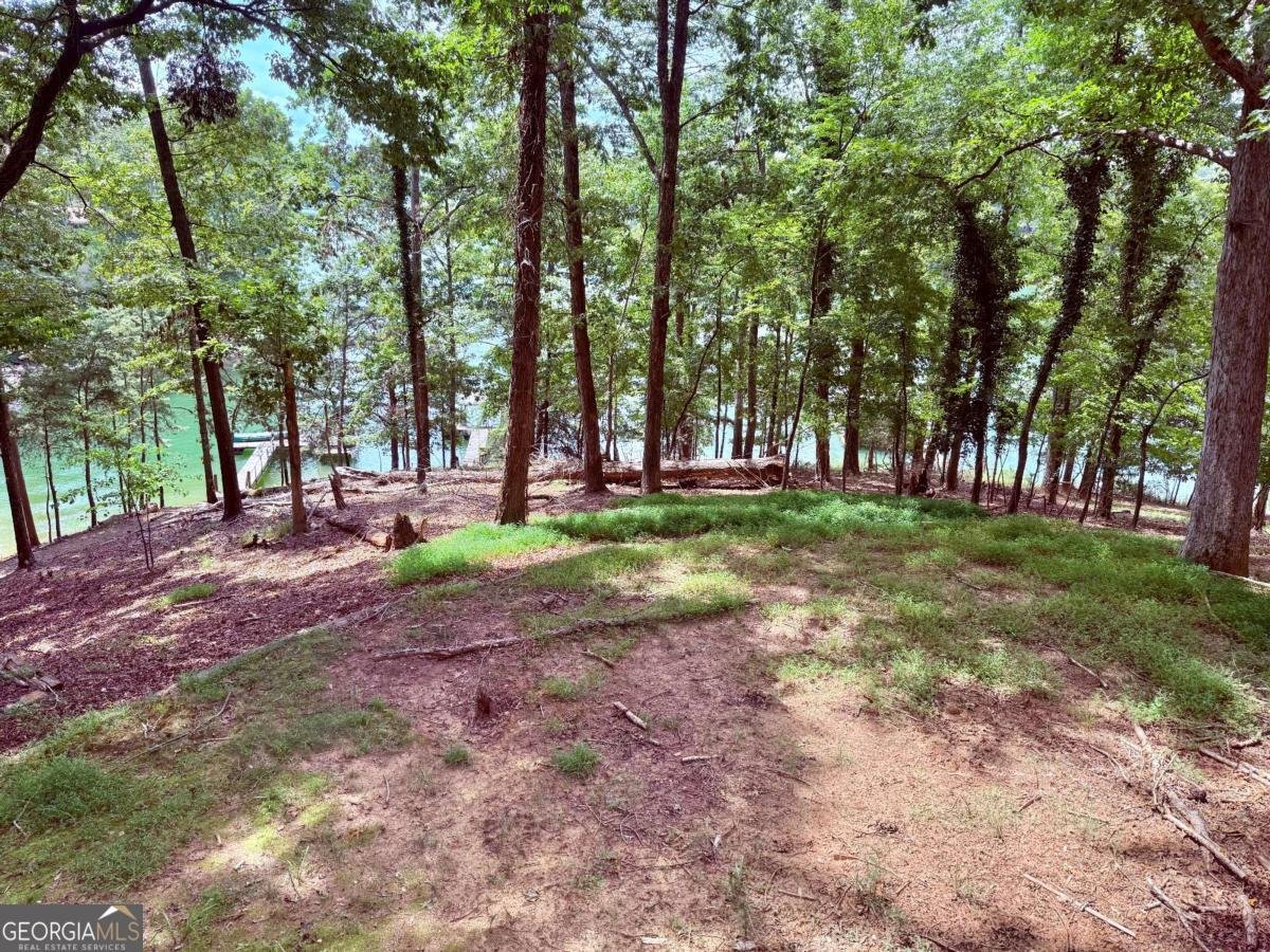 3007 Basin Road Gainesville - 11