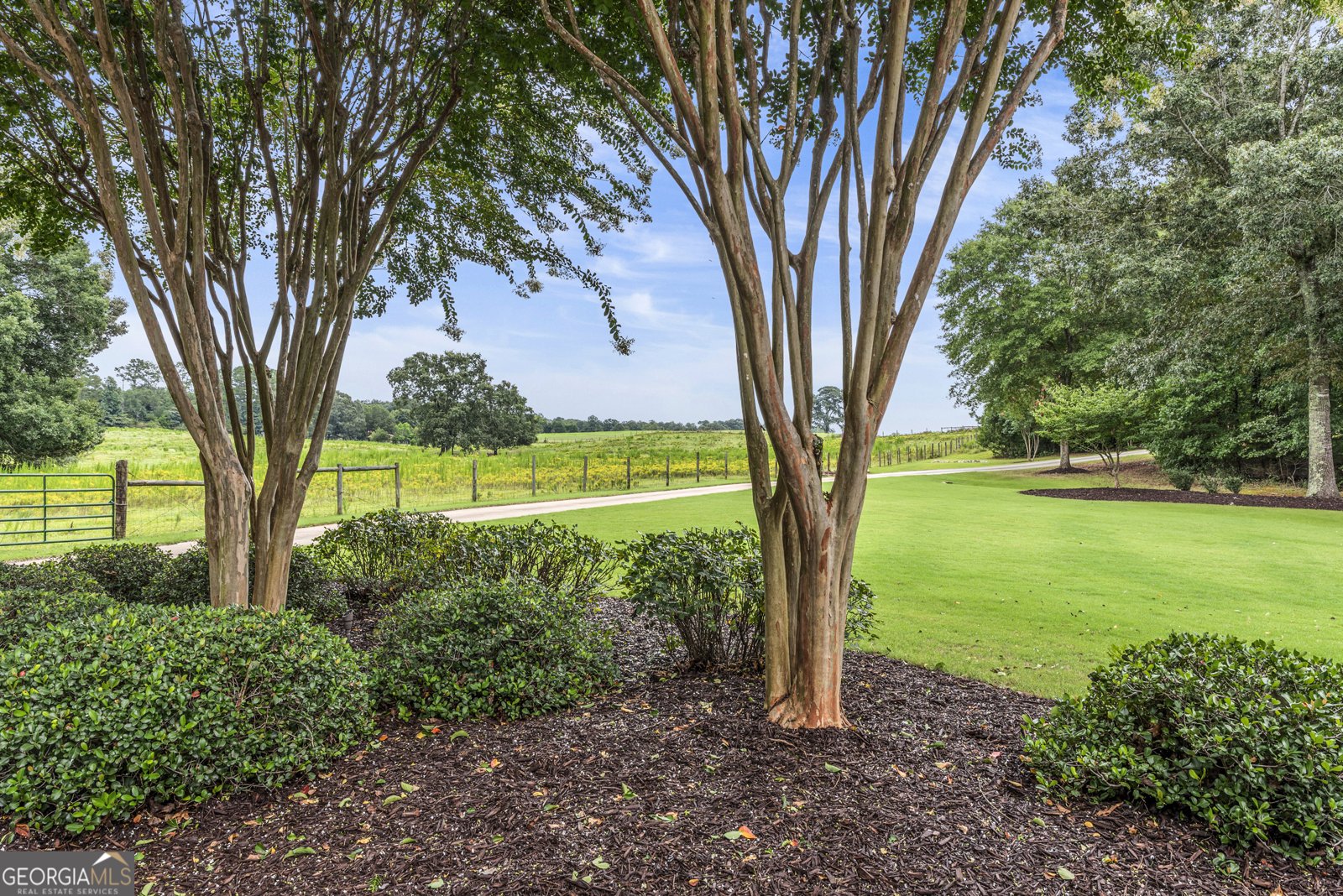 300 Potts Lane Covington - 49