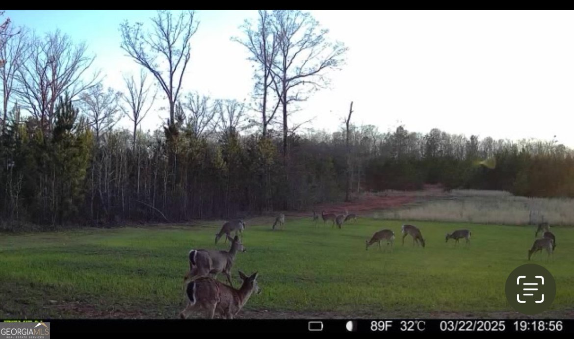 153 Highland Circle Flovilla - 33