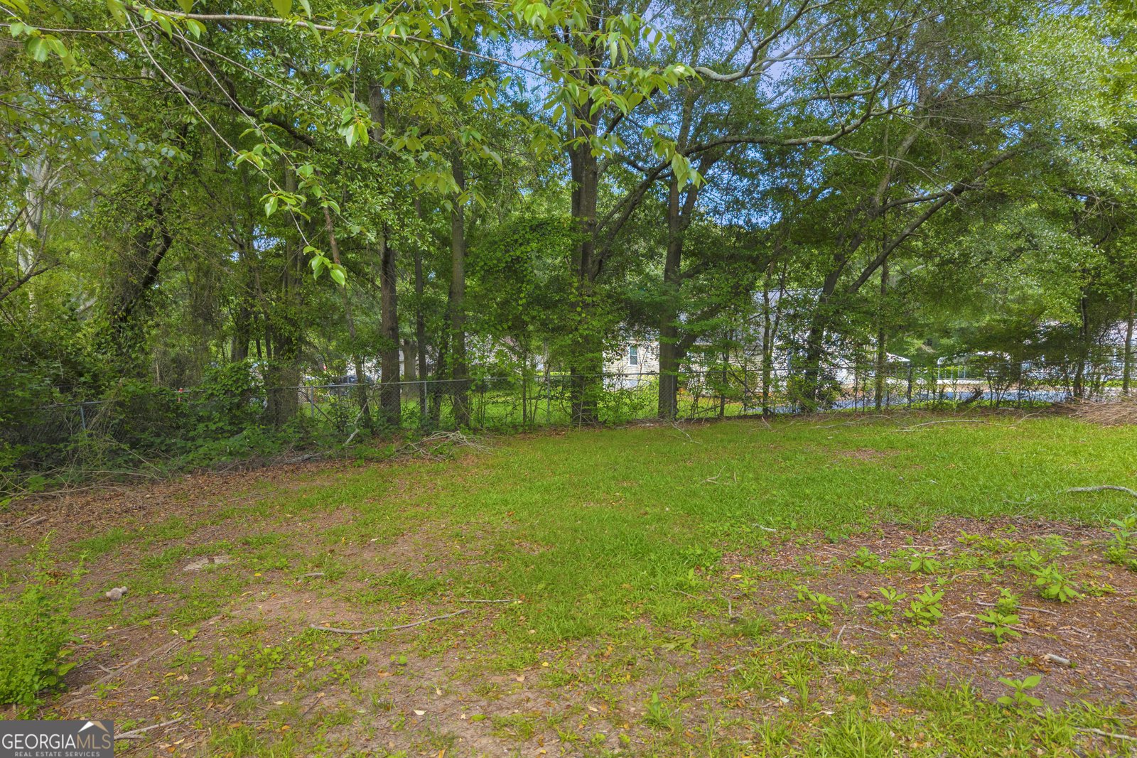 266 Randall Street Lavonia - 42