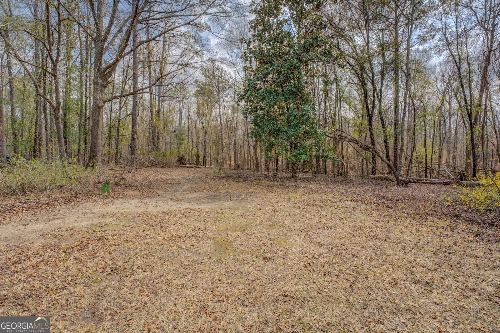 650 Malcom Road Covington - 14