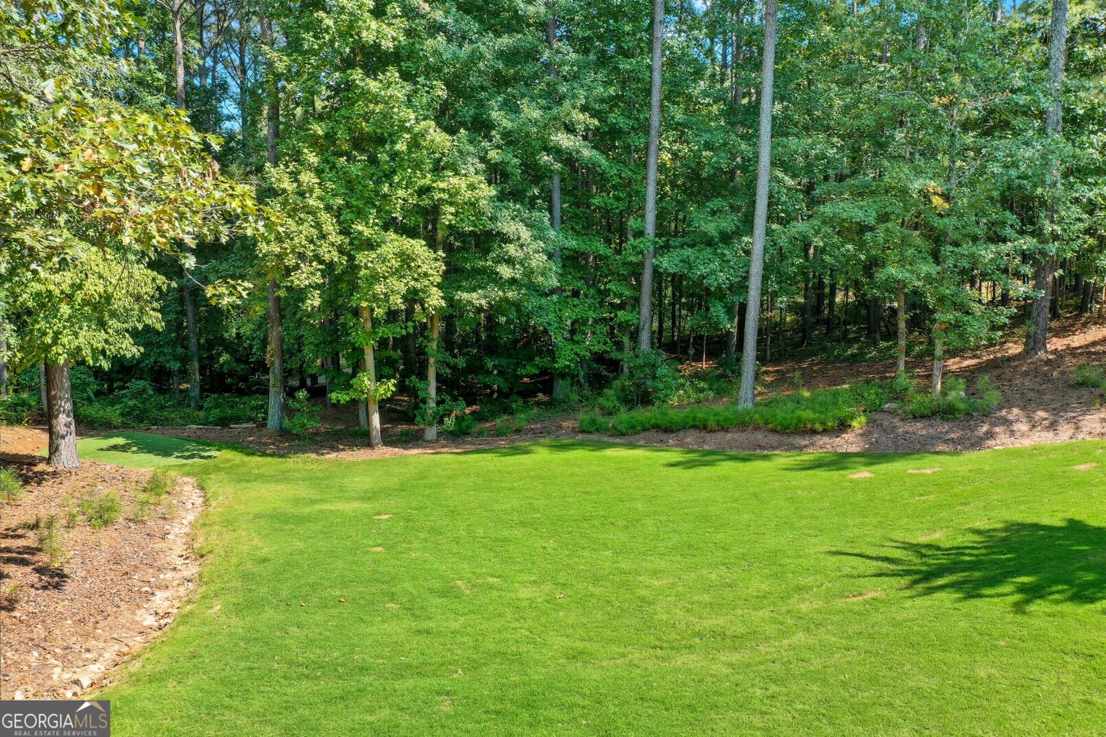 403 Juniper Mill Trace Canton - 57