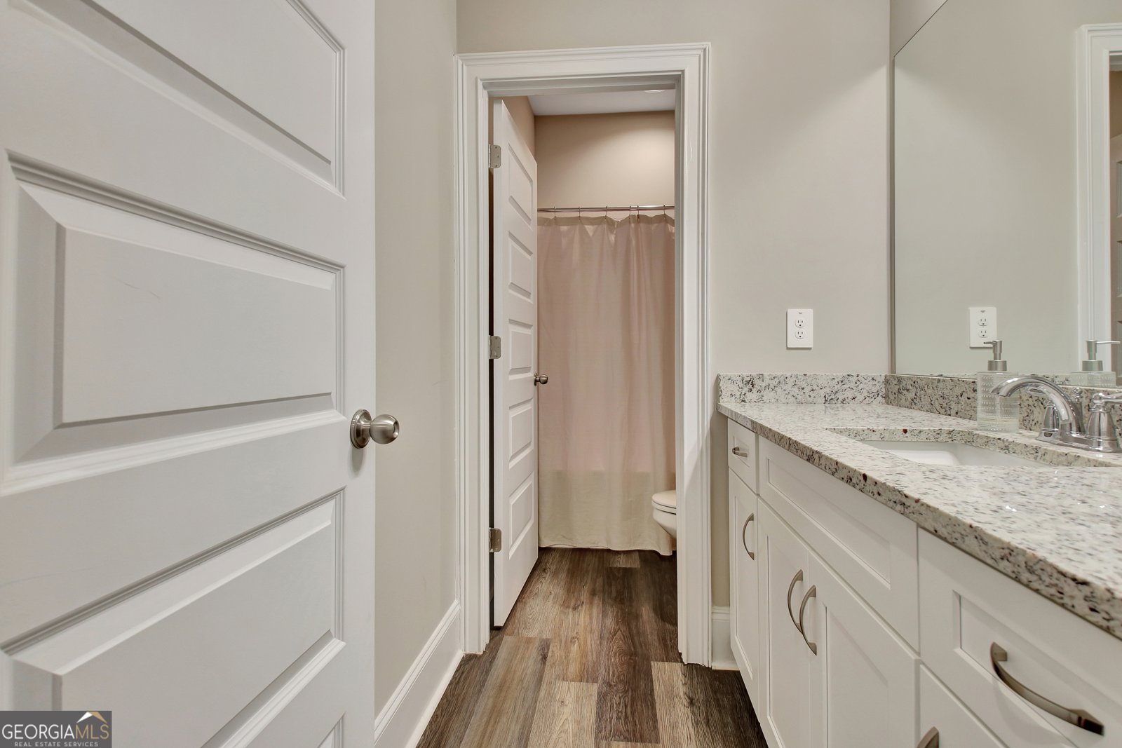 234 Thyme Leaf Way Locust Grove - 50