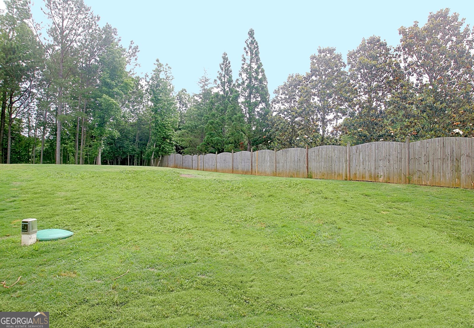 234 Thyme Leaf Way Locust Grove - 67