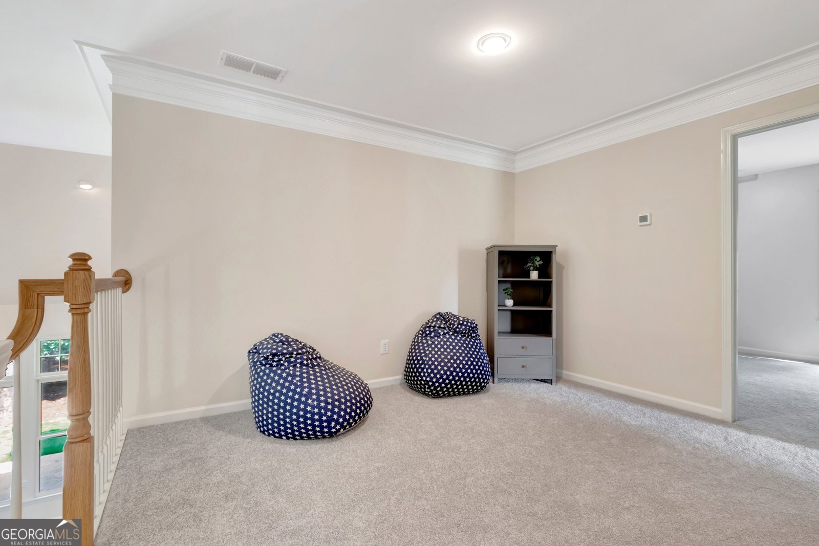 185 Newfield Drive Tyrone - 48
