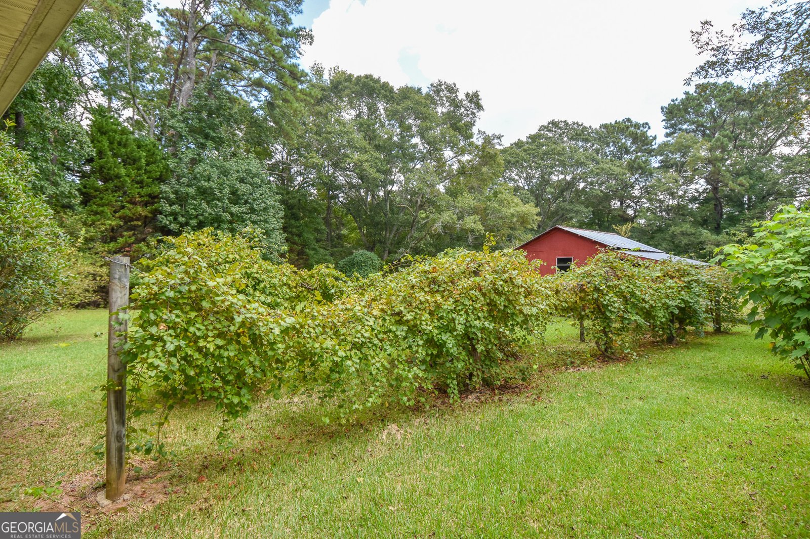 4145 Highway 81 Hampton - 35